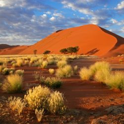 Namib desert wallpaper namibia africa sea sand ocean southern beach nature coastal beaches background name origin vast desktop means place