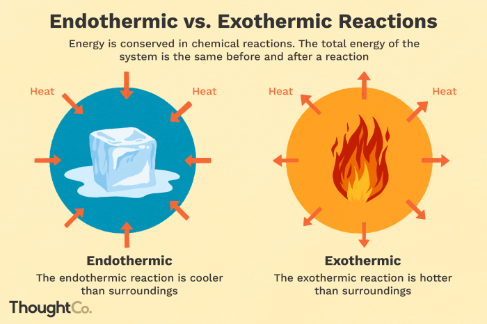 Classify the chemical changes as endothermic or exothermic.