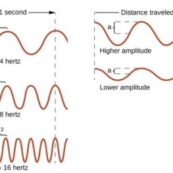 Electromagnetic waves sum it up answer key