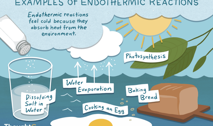 Endothermic classify transcribed