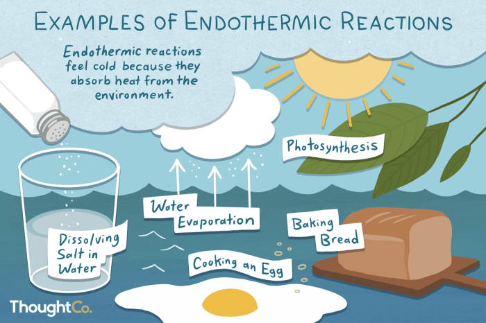 Endothermic classify transcribed